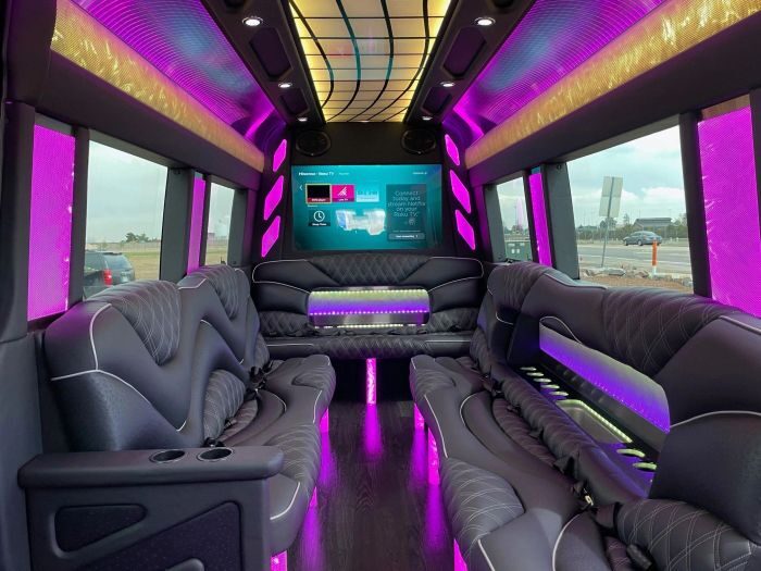 Sprinter limo lounge with TV – Colorado limo service