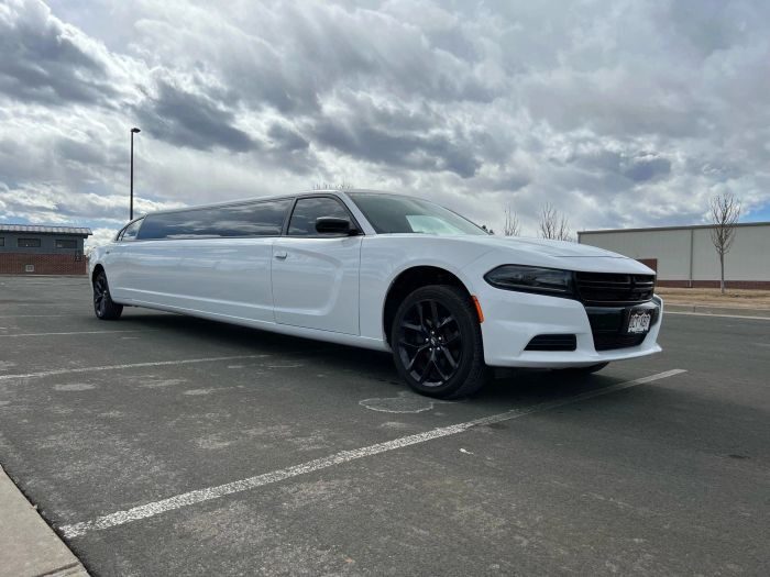 White stretch limo – Colorado limo service